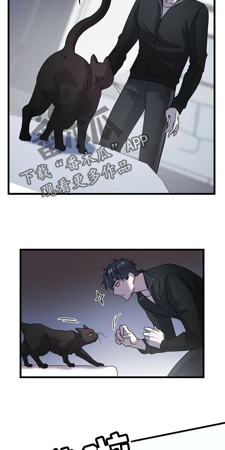 黑洞怪物漫画,第29章：聪明的猫咪4图
