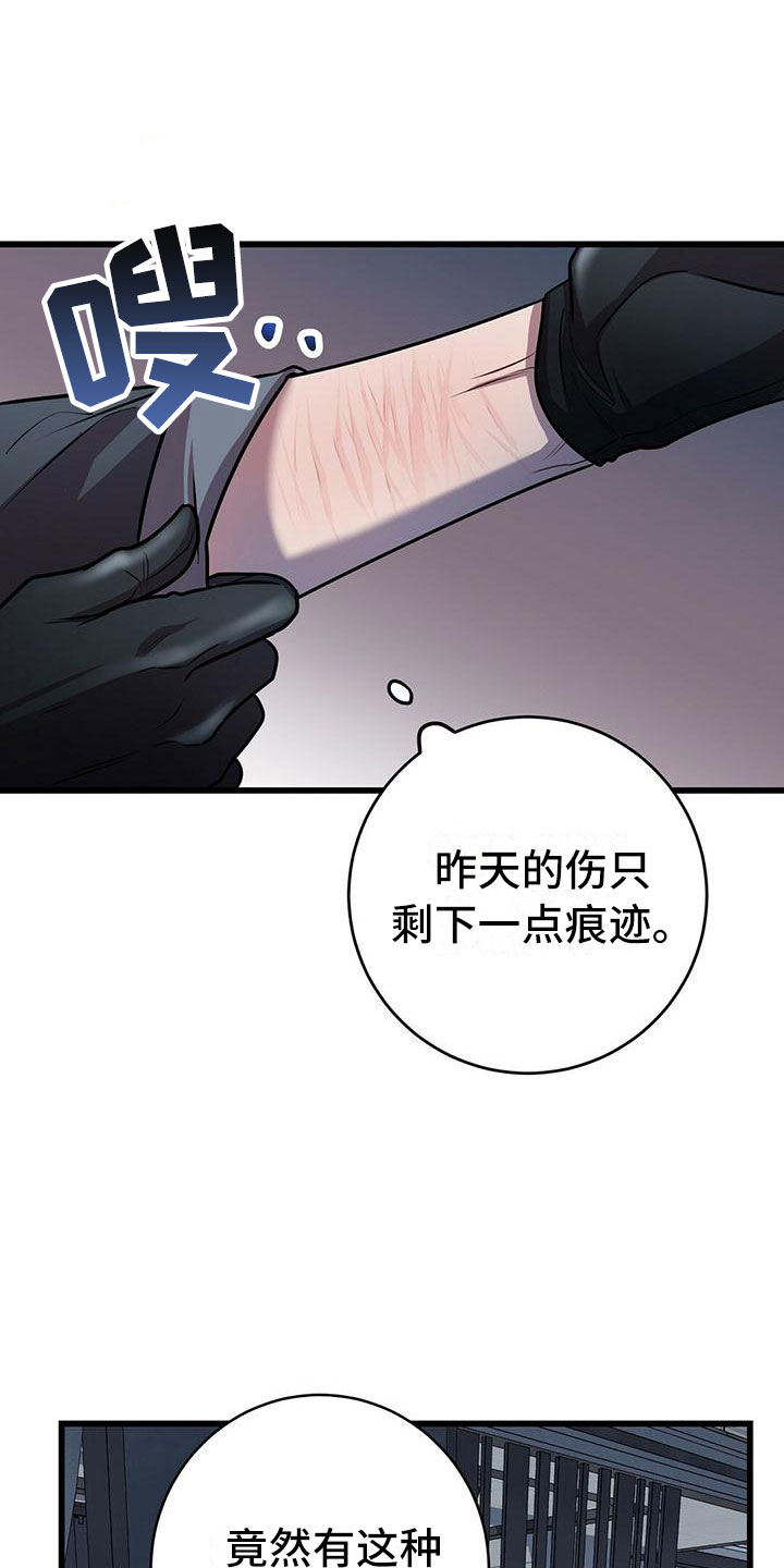 第20章：触底反弹2