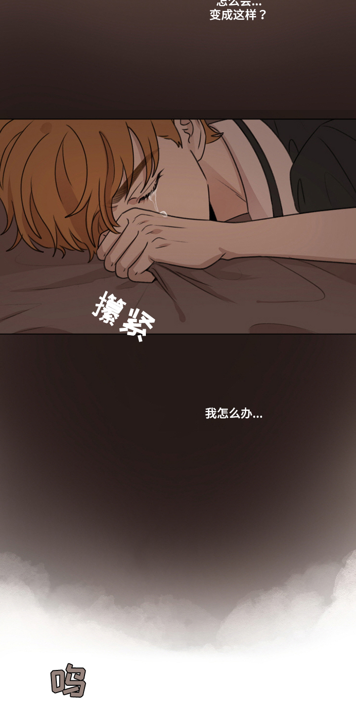 第42章：【第二季】收养1
