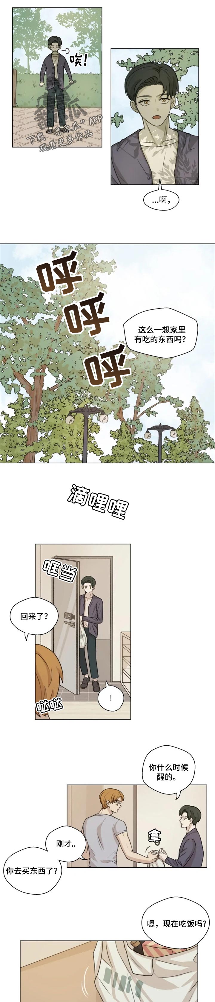 第19章：分量1
