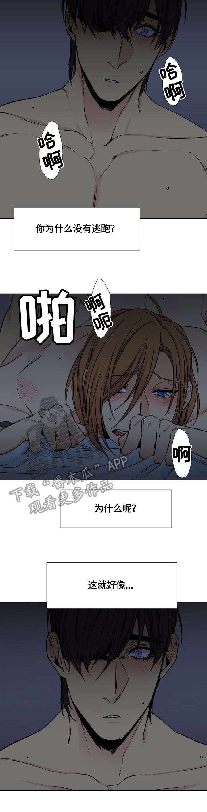 第32章：加油2