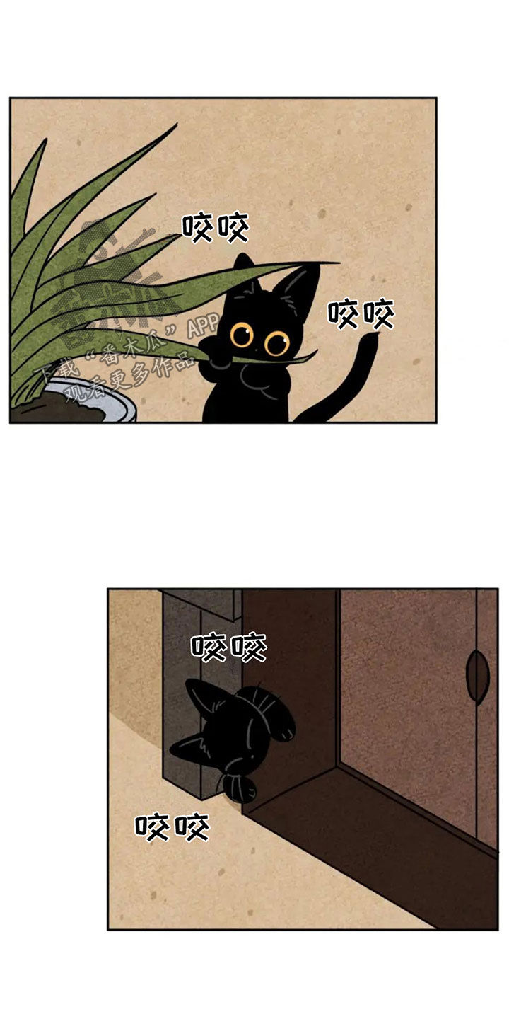 金福的故事漫画,第88章：藏起来2图
