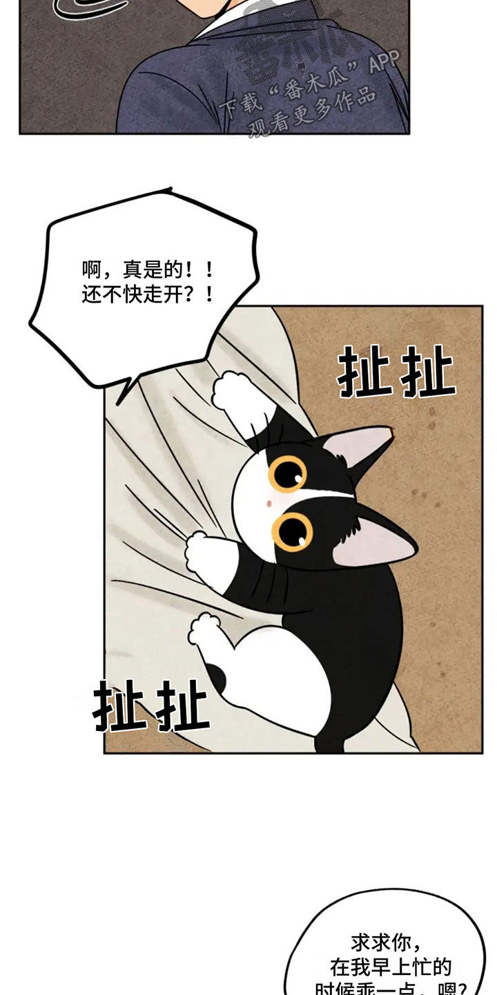 第92章：猫爬架2