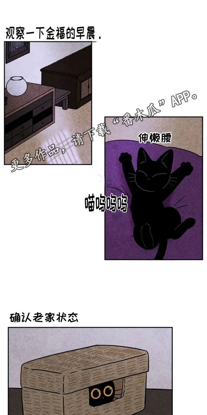 第86章：讨厌老鼠0