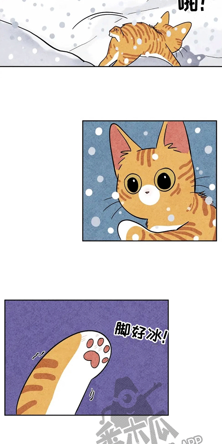 第61章：大橘2