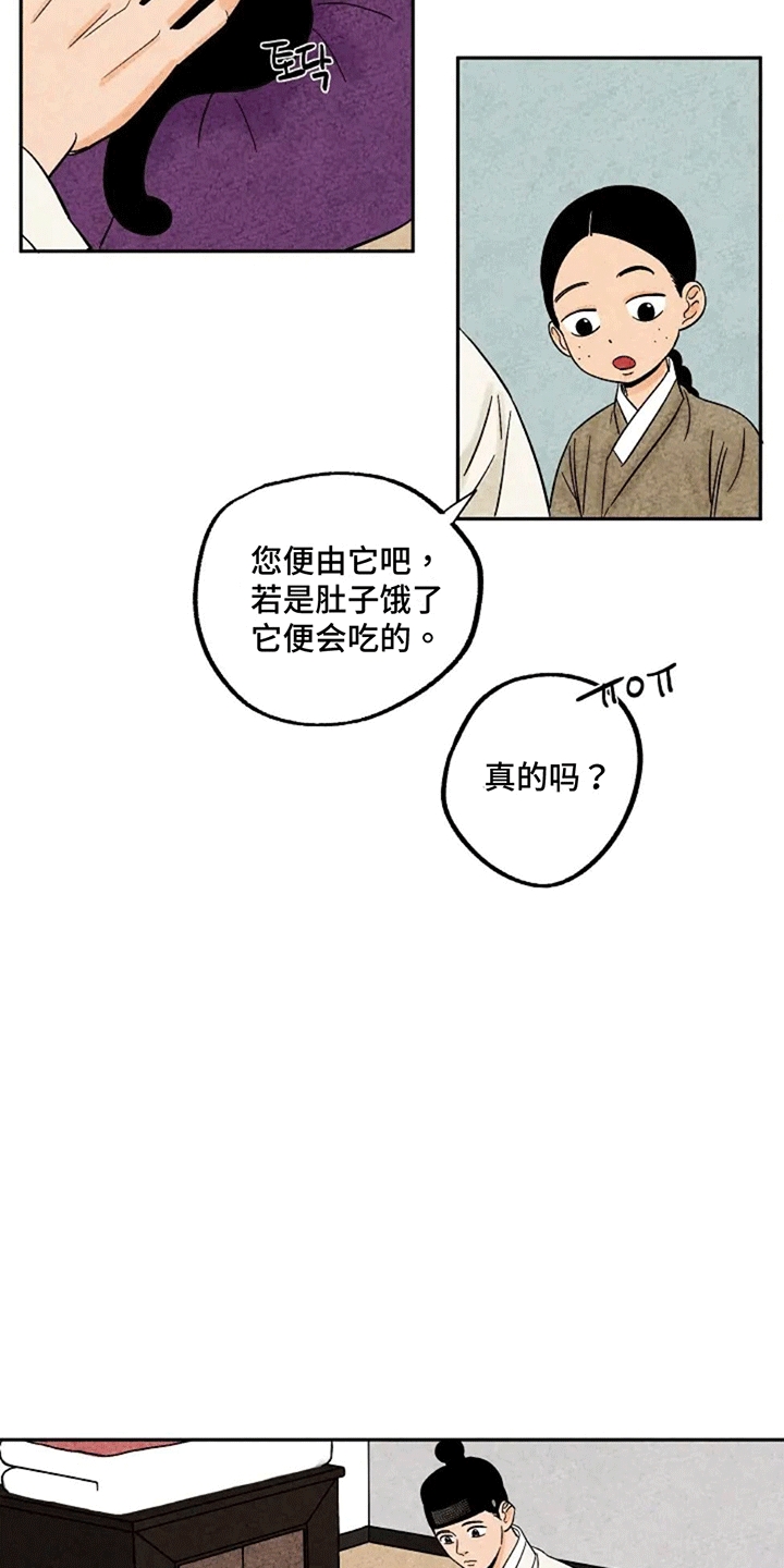 金福的近义词漫画,第69章：小小金福4图