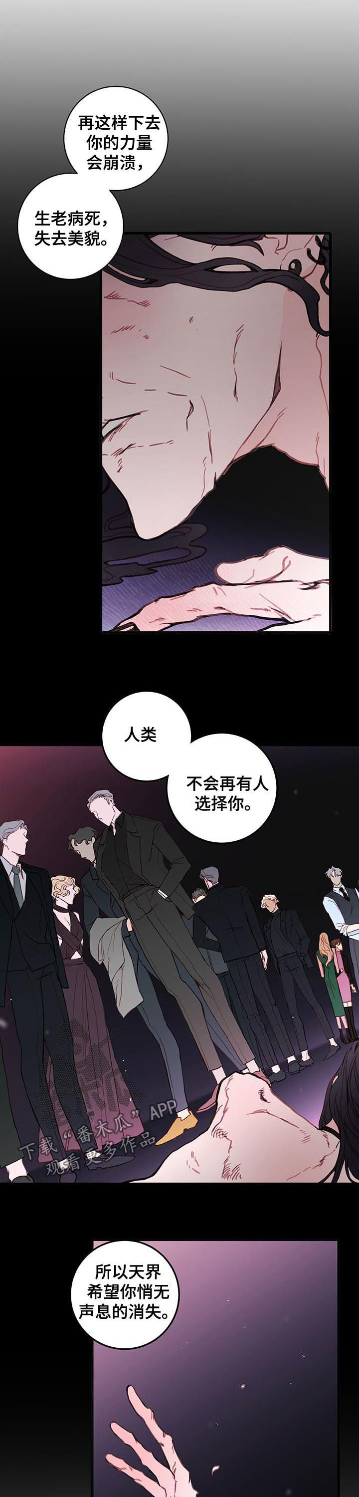 恶魔合约漫画,第53章：谎言3图