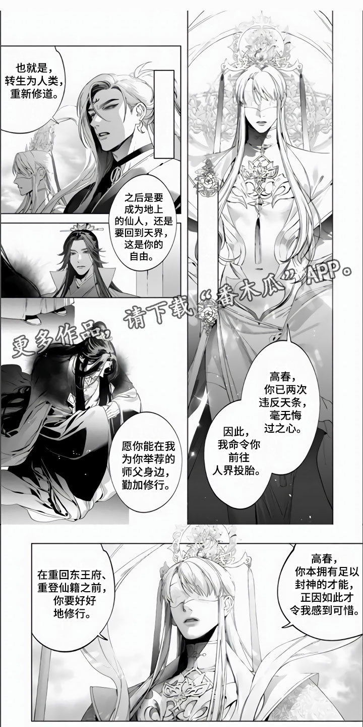 第6章：天罚0
