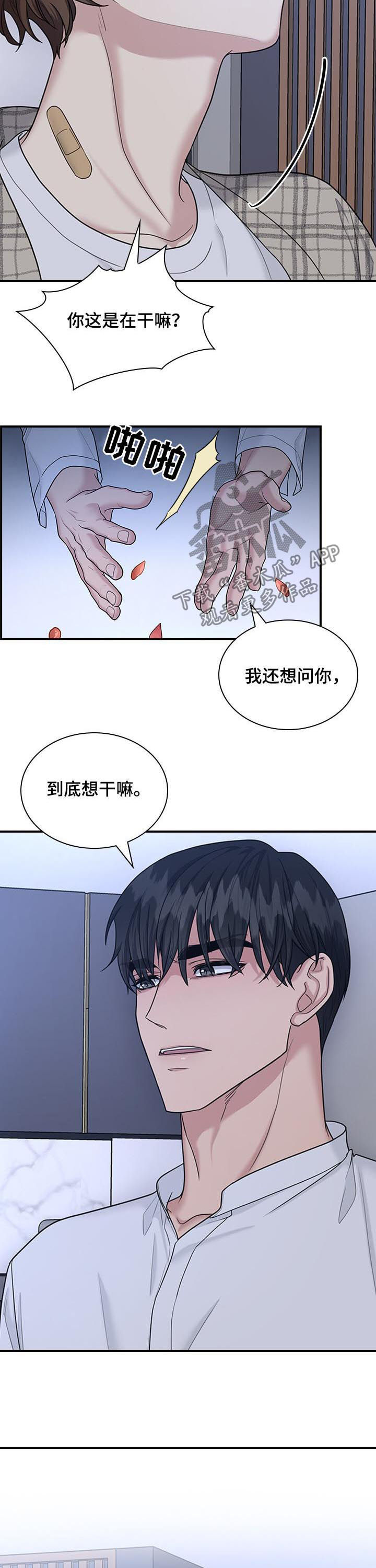 职场重点汇报内容漫画,第62章：不就是为了这个5图