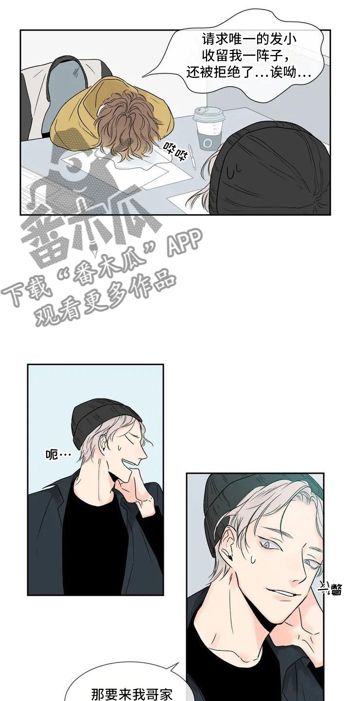 暗香33集漫画,第33章：季节回来了：哥回来了4图