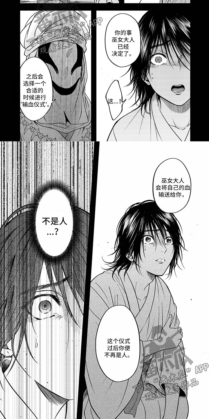 红姐女王伪装音韵公主是哪一集漫画,第10章：巫女候选5图