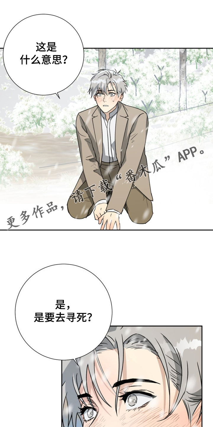 唯一一个接近神的人漫画,第95章：【第二季】是要寻死？1图