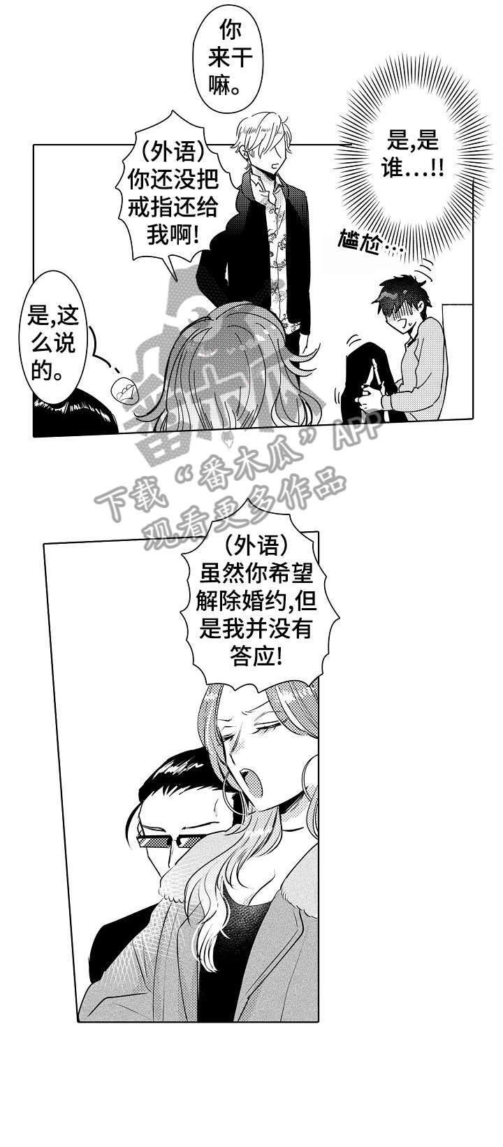 第21章：外国人0