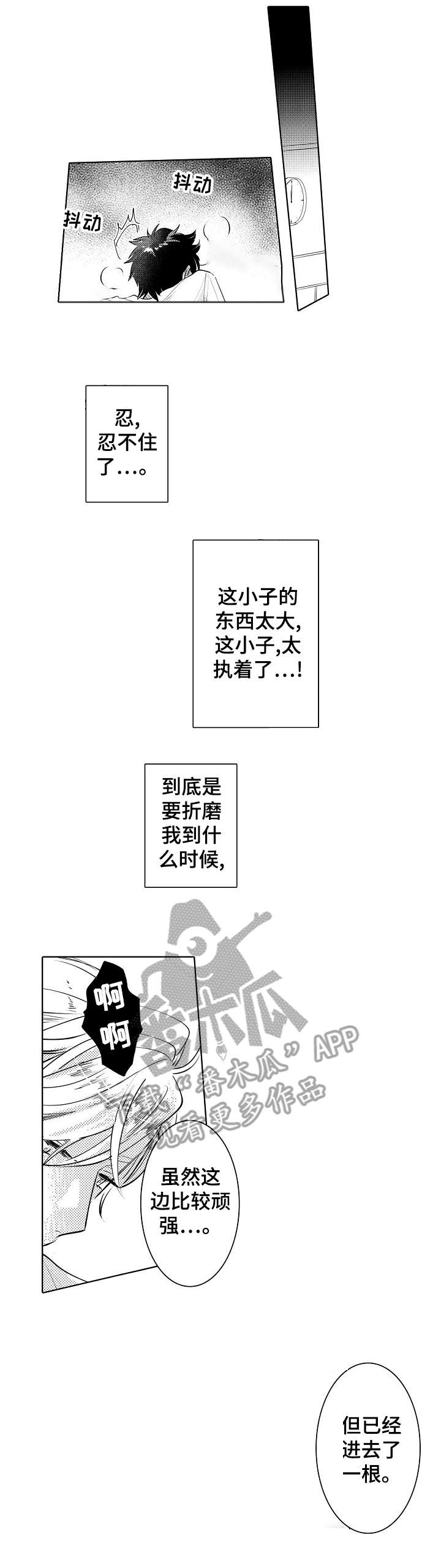 第13章：经验4