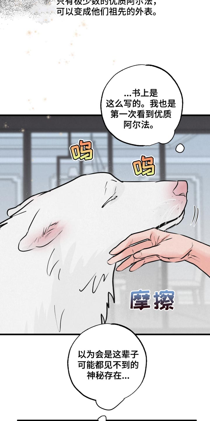 热量高是什么意思?漫画,第15章：动物形状5图