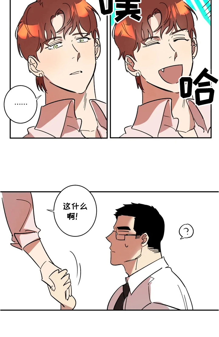 混混痞帅小说漫画,第49章：请和我交往5图