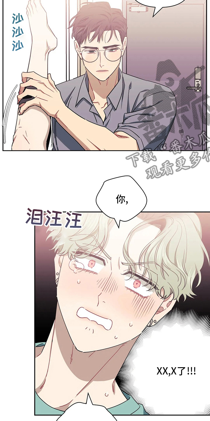 第87章：【番外】疯狗3