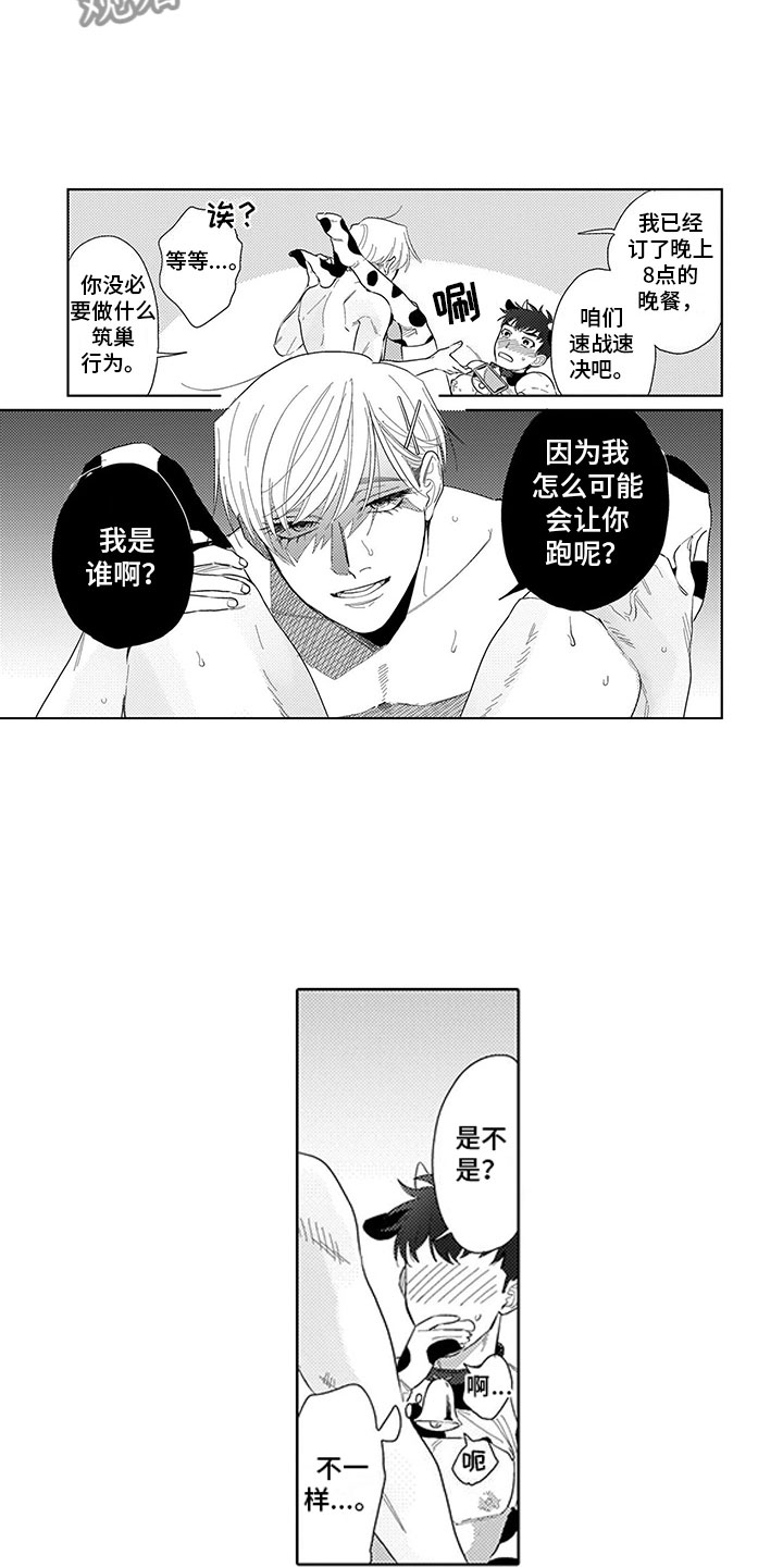 我们不是命运漫画,第21章：命中注定2图