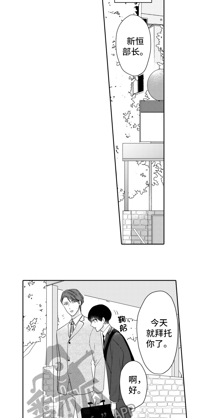 第13章：表白3