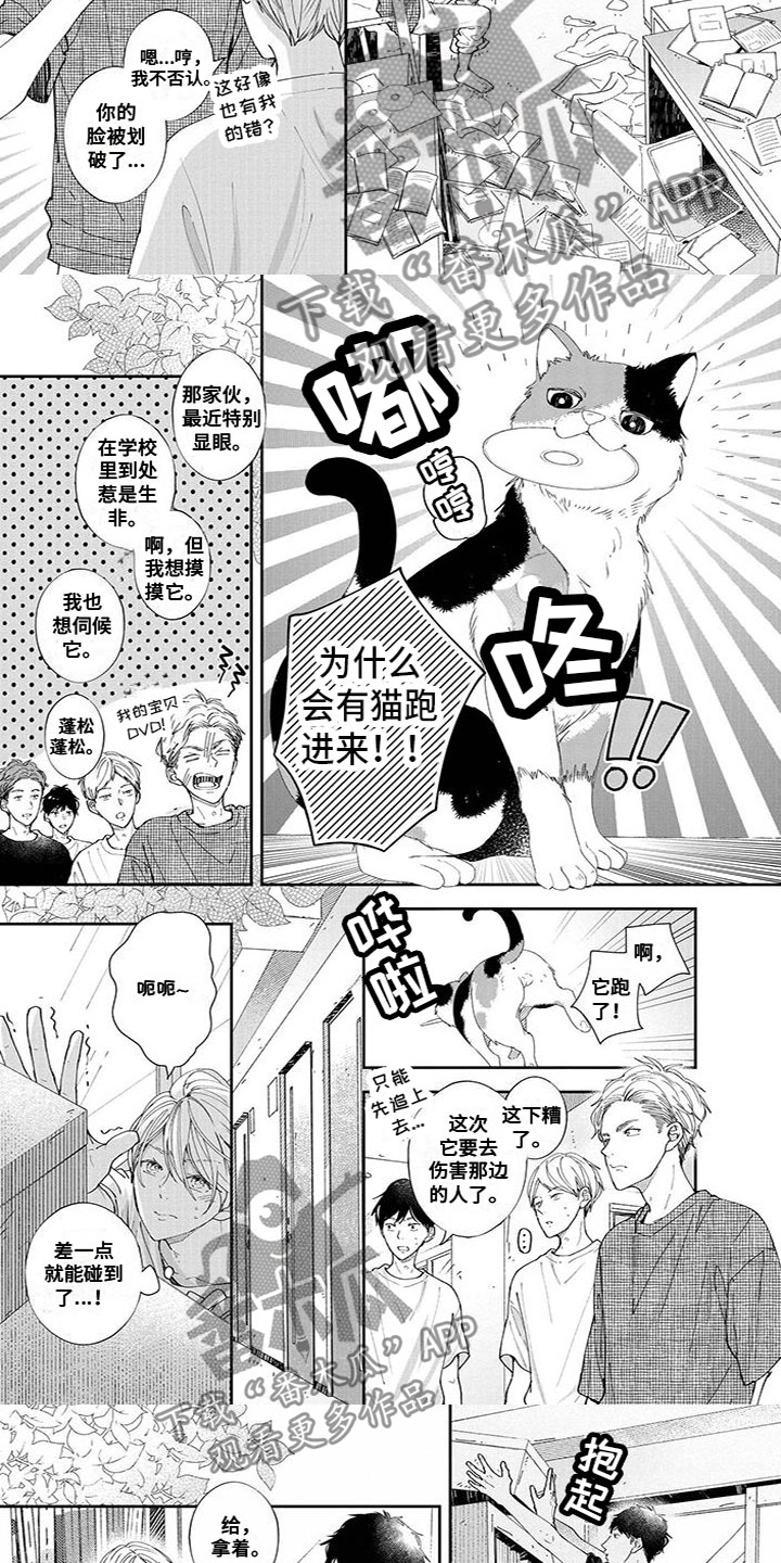 双向奔赴的爱情是什么样的漫画,第45章：出状况3图