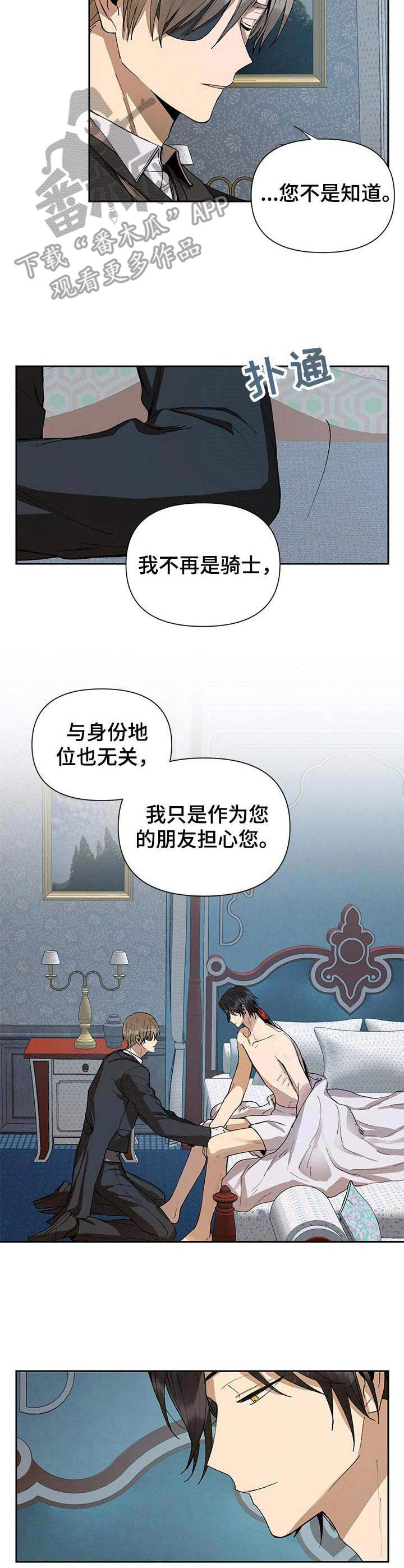 敌国质子非要怀摄政王的崽by青猫团漫画,第2章：帝国骑士3图