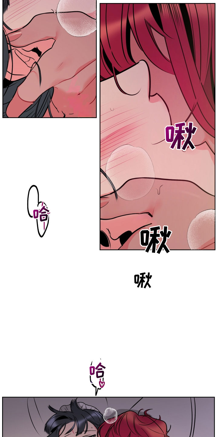 主人与狗狗的感动视频漫画,第9章：可爱的小姐3图