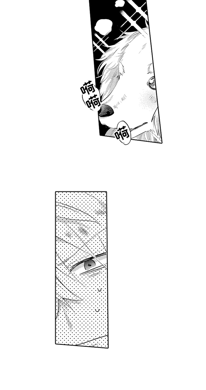 第2章：相遇1