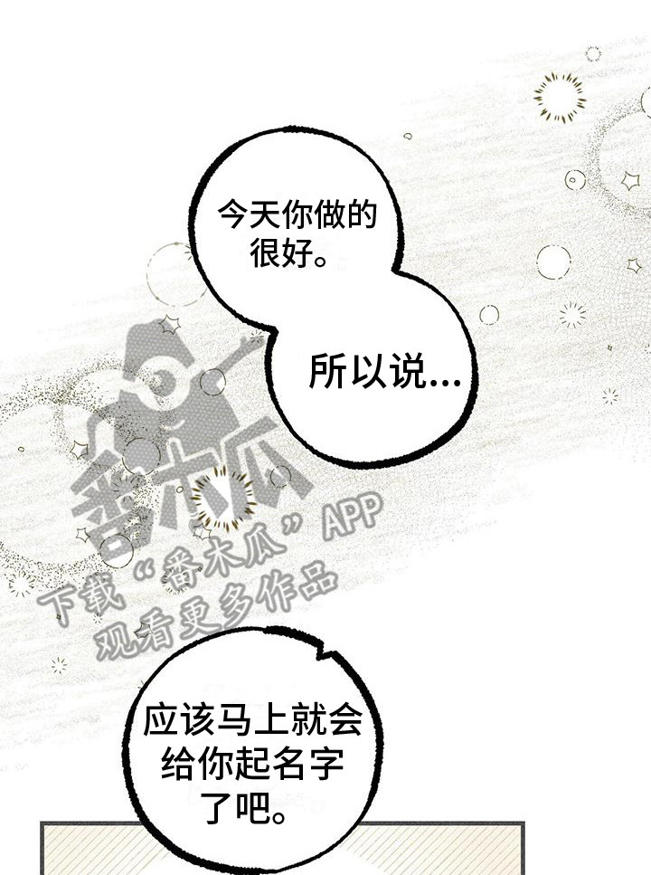 第29章：声音1
