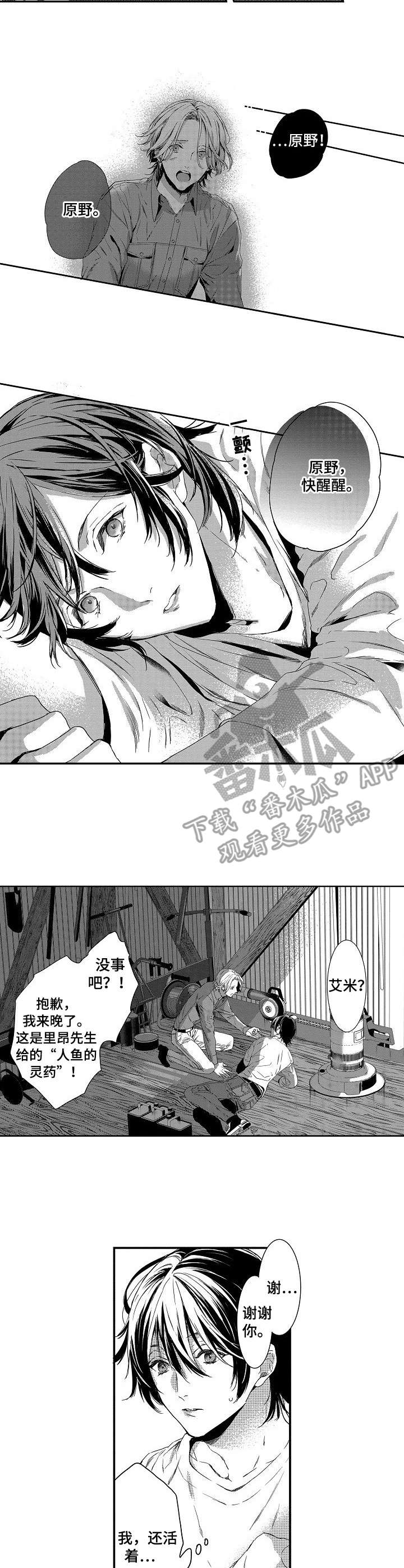 海岛传奇金币奖励漫画,第22章：救援3图