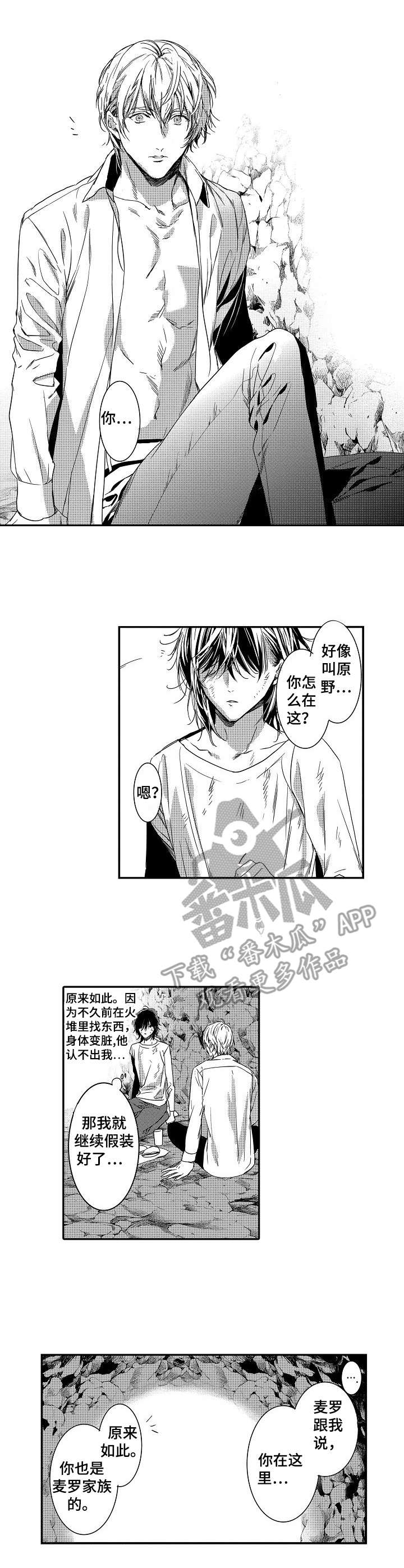 海岛传奇新手玩法攻略漫画,第11章：承诺2图