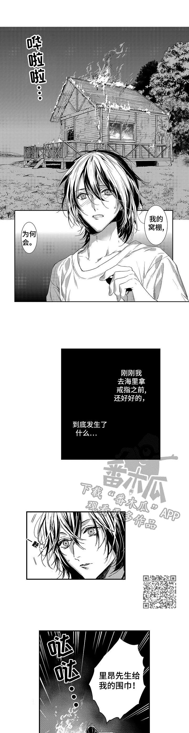 海岛国家漫画,第10章：大火5图