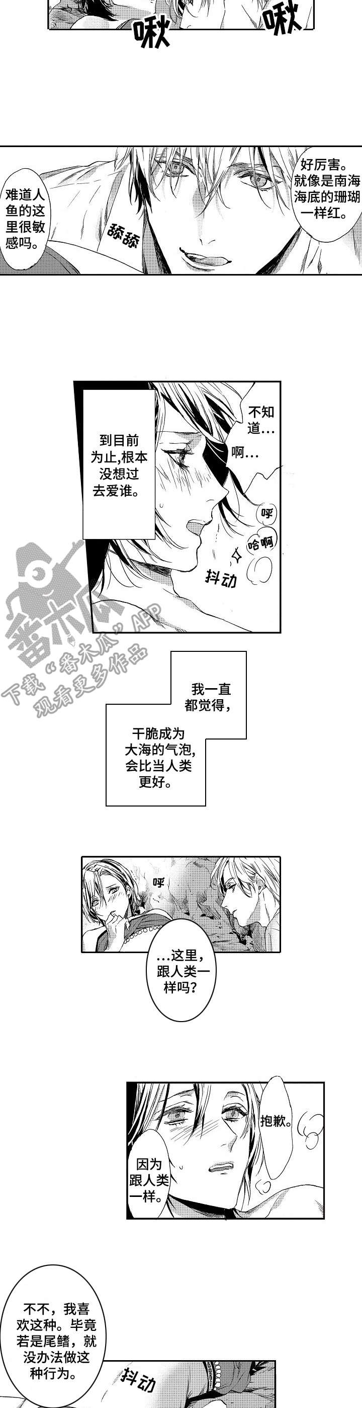 海岛传奇的邀请码漫画,第8章：亲切2图
