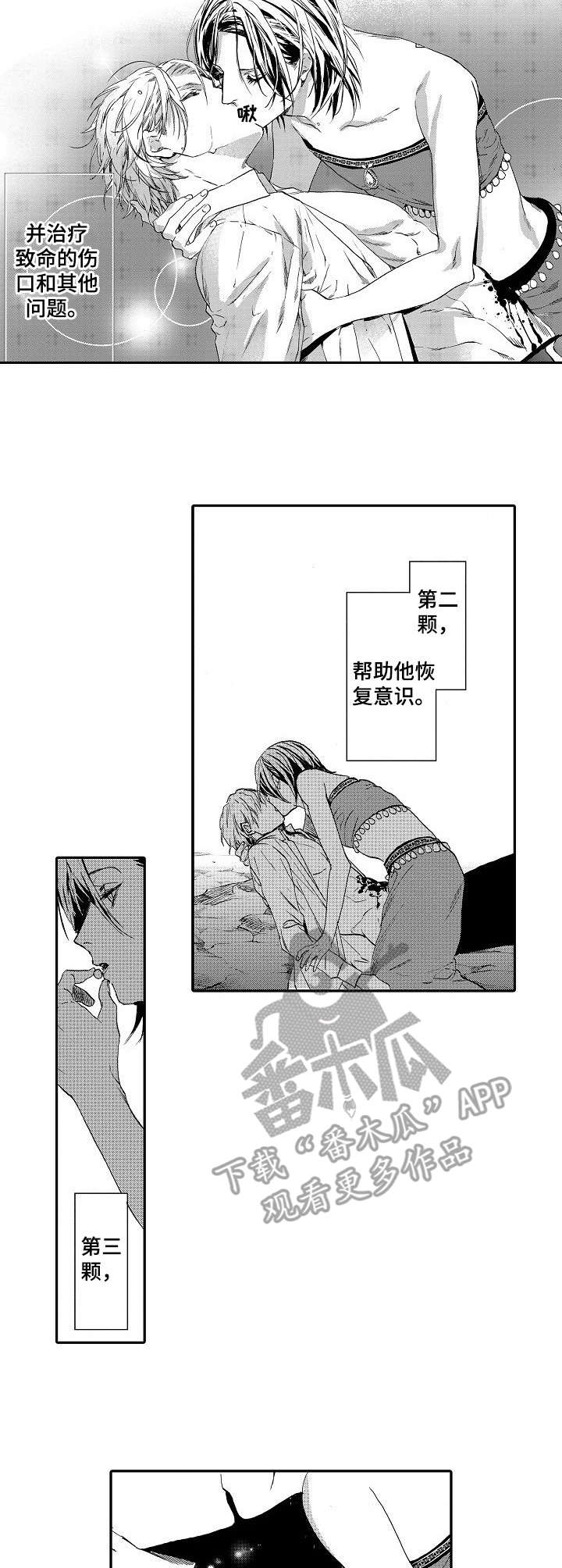 海岛传奇小说漫画,第7章：灵药2图