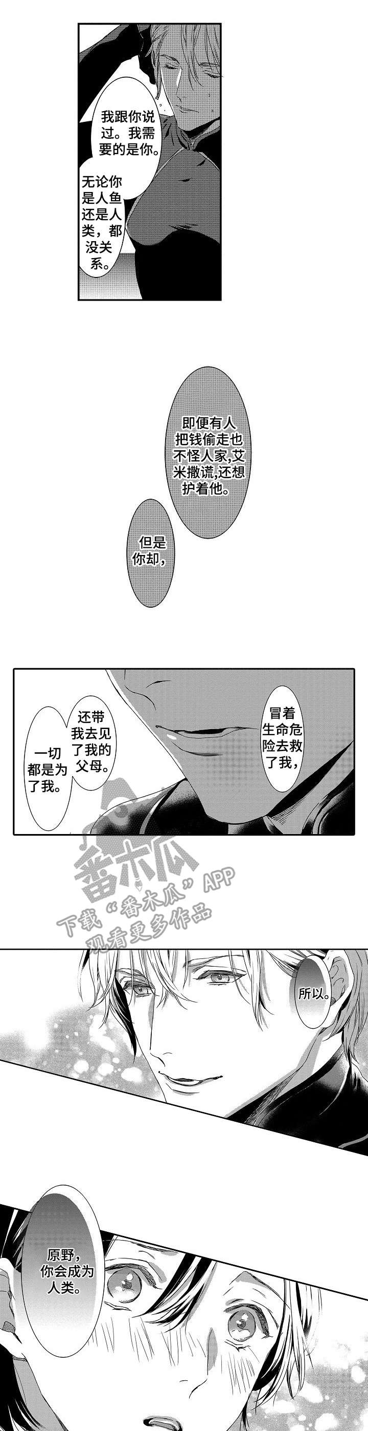 海岛传奇晋级赛最稳打法漫画,第24章：戒指2图
