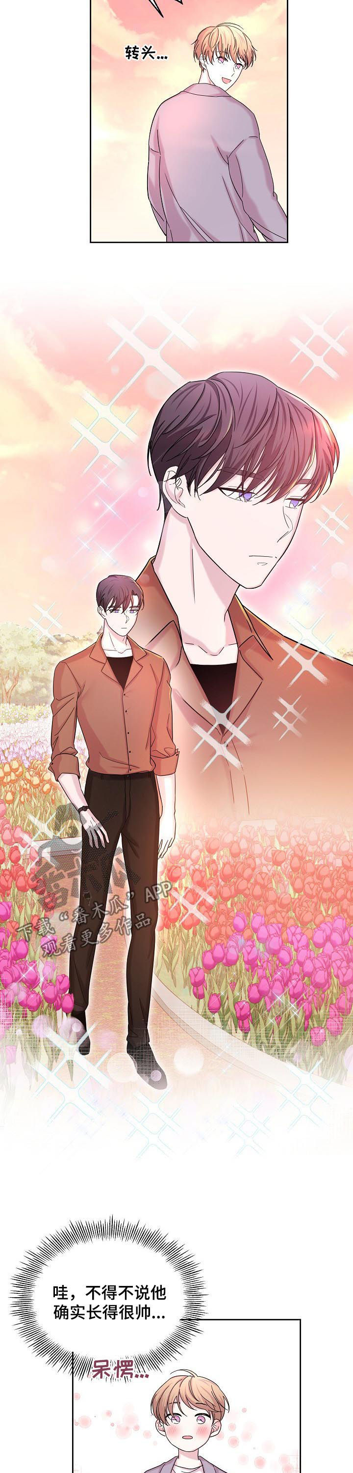 第62章：花海2