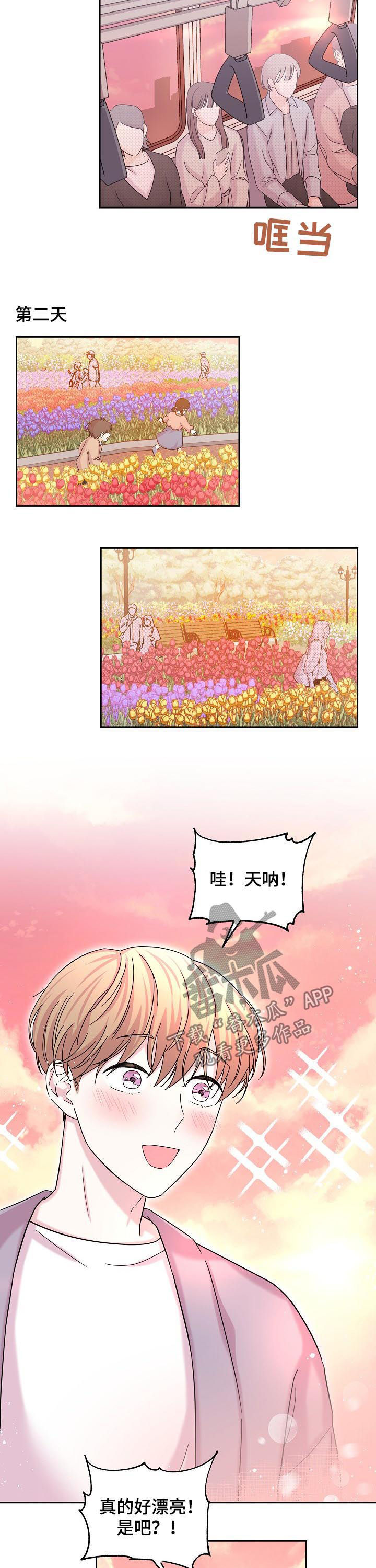 第62章：花海1