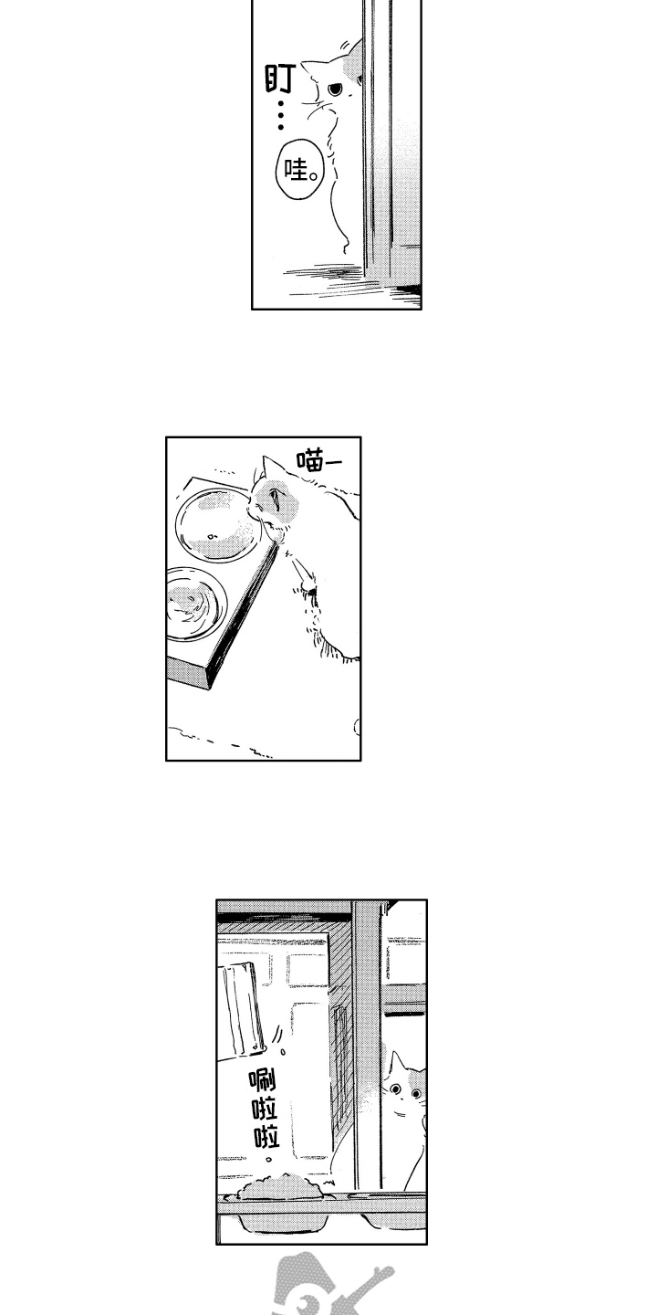 第26章：惊喜2