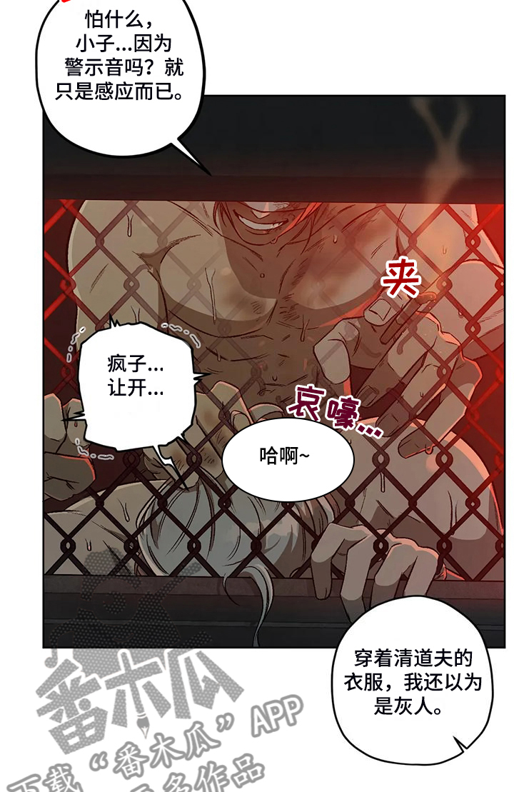 区域间谍漫画,第81章：【第二季】地下民2图