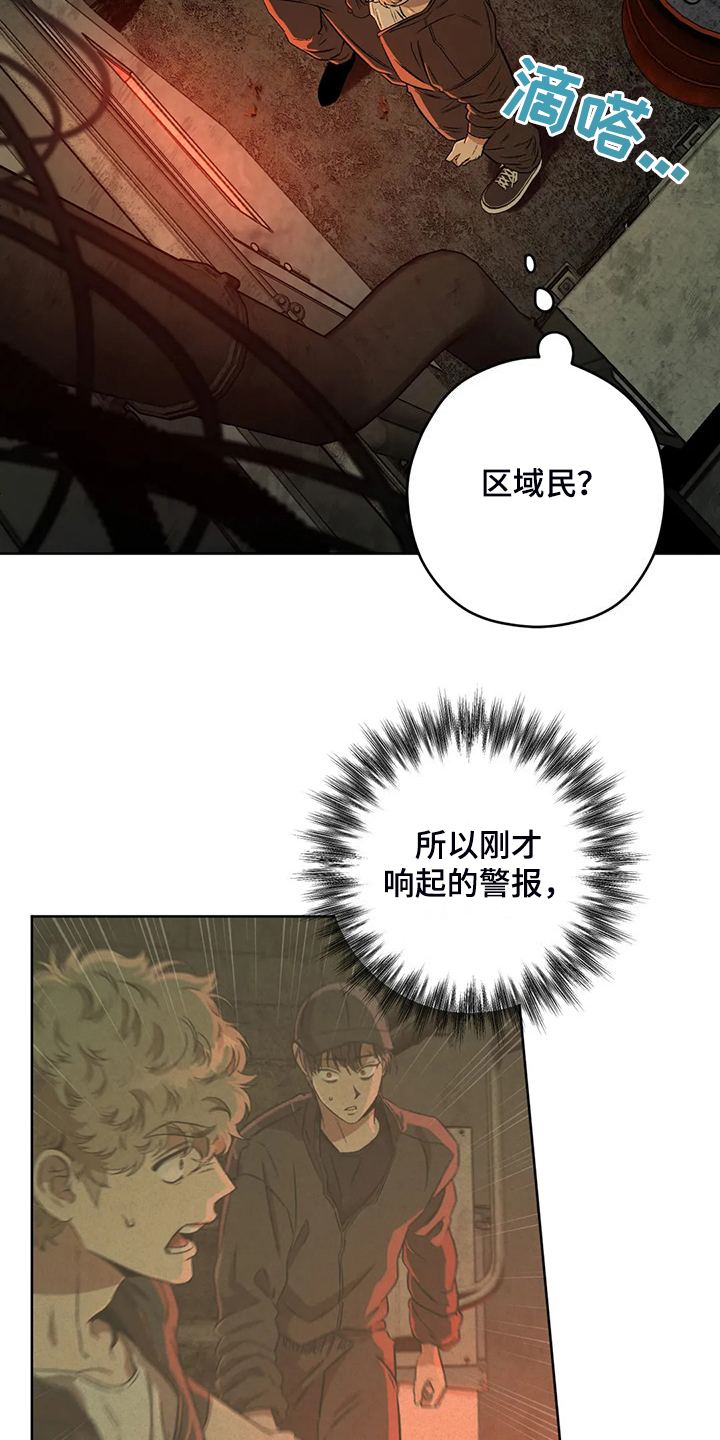 区域间谍韩漫结局漫画,第82章：【第二季】不管你们的身份2图