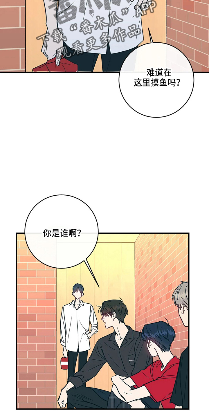 第56章：故意的1