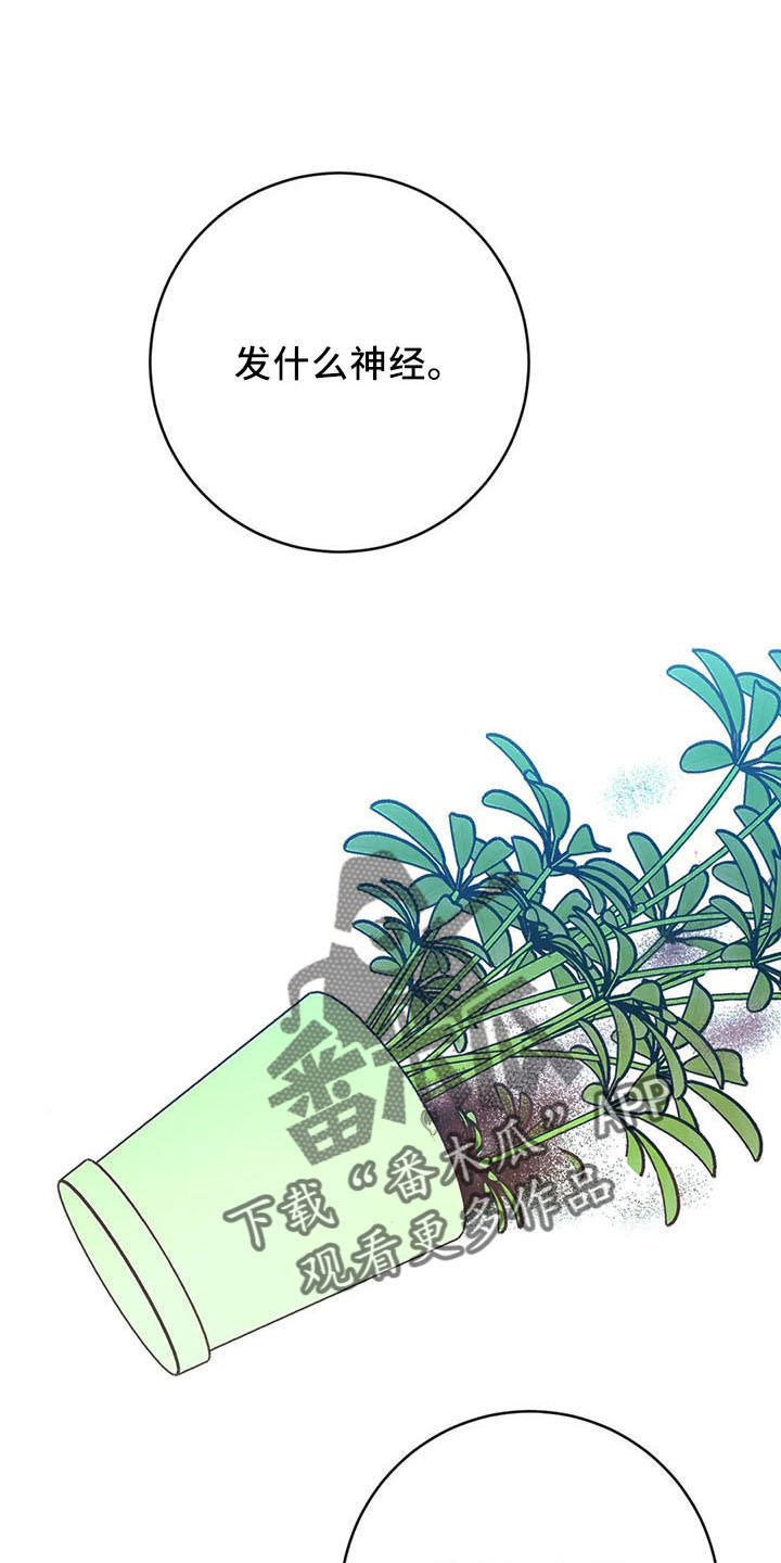第66章：分分合合0