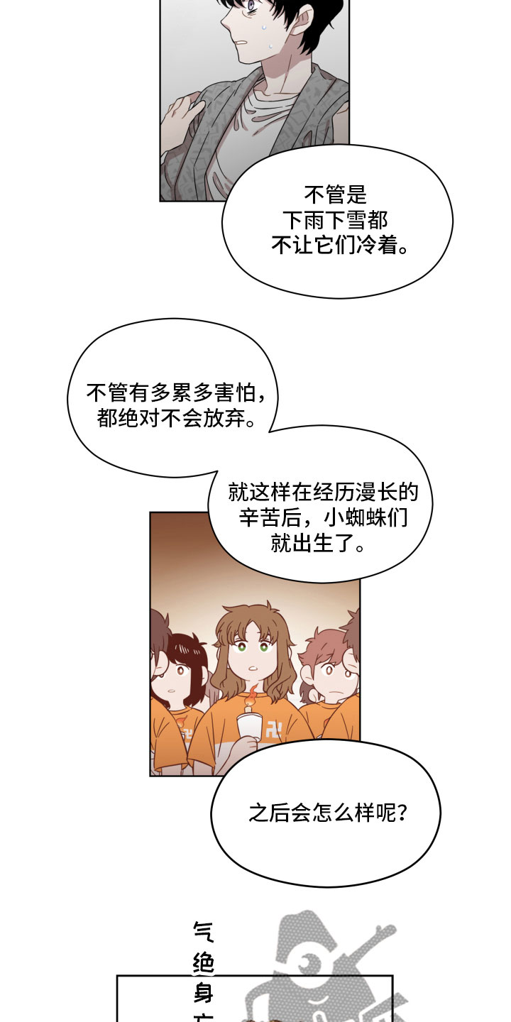 亲爱的邻居漫画,第4章：蜘蛛的故事5图