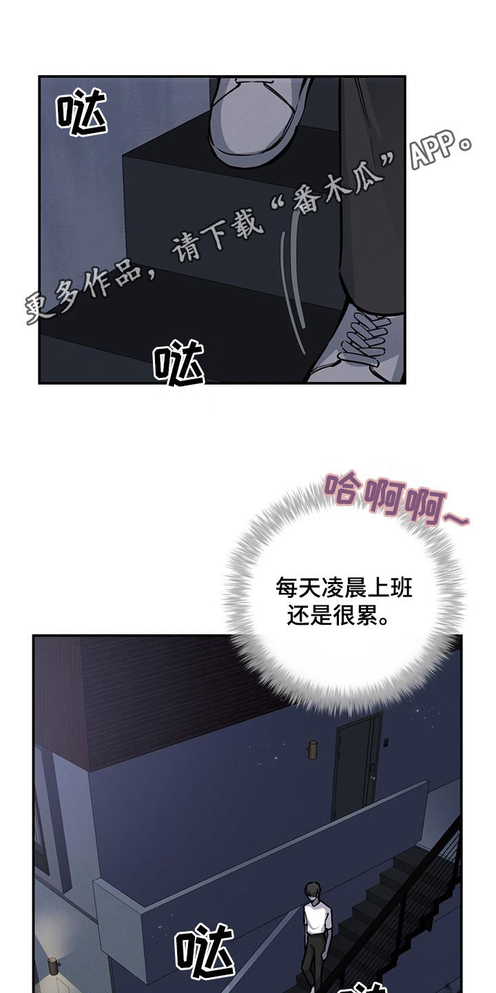 第29章：恋爱秘籍0