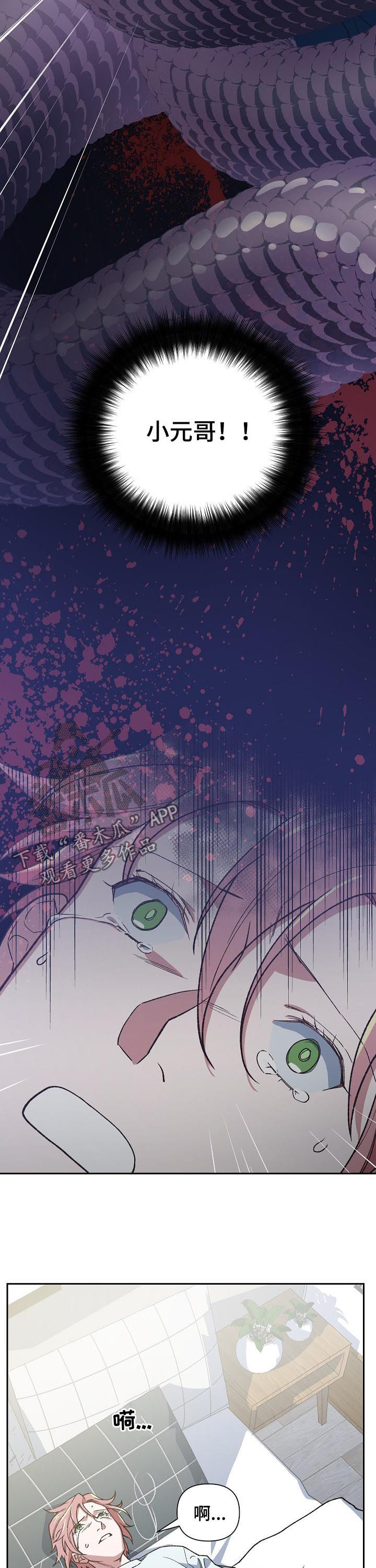 祖灵显神迹漫画,第66章：感觉3图