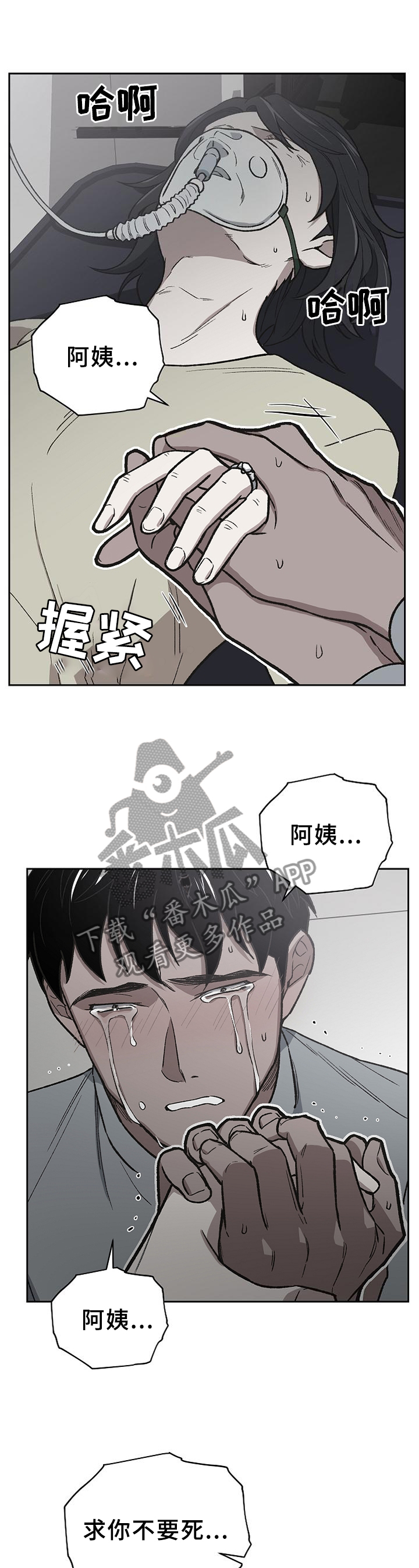 祖灵角好用吗漫画,第56章：亲弟弟1图