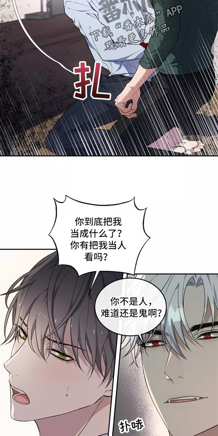 第39章：不是梦1