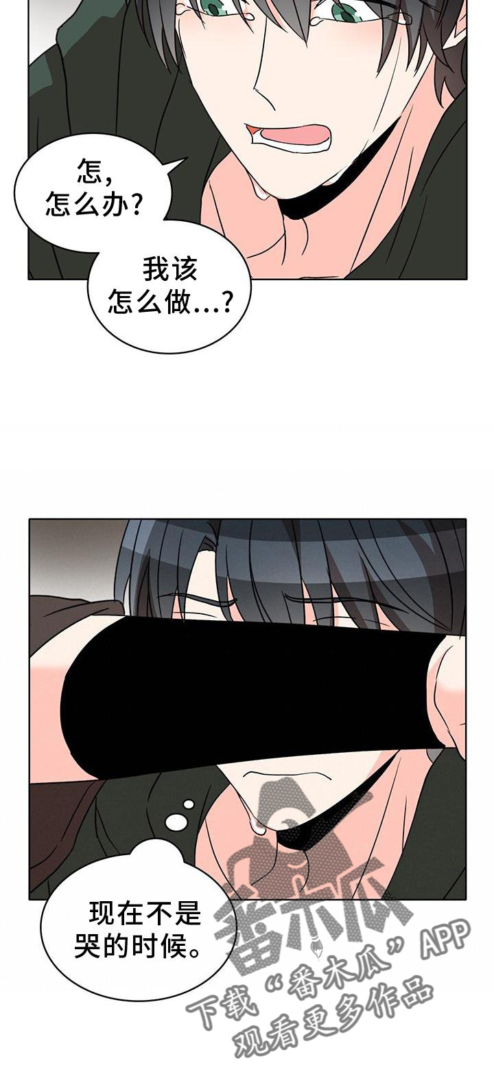 怪物猎人电影国语漫画,第54章：漂亮5图