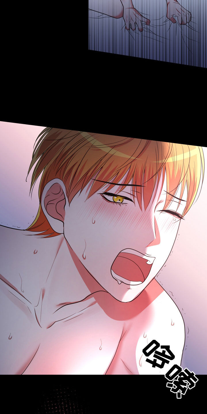 深情合集漫画,第49章：【第二季】孤僻万人迷：正式交往3图