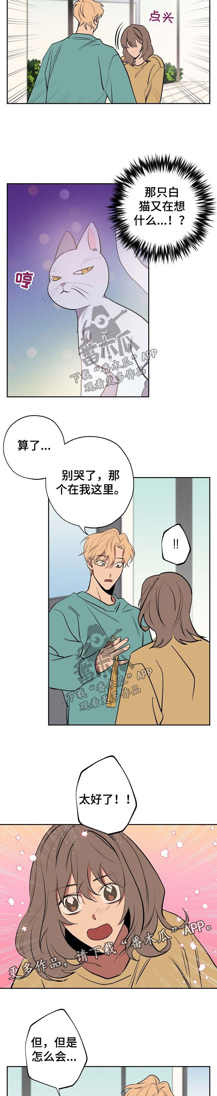 记忆规律的包含遗忘再认再现漫画,第54章：坦白5图
