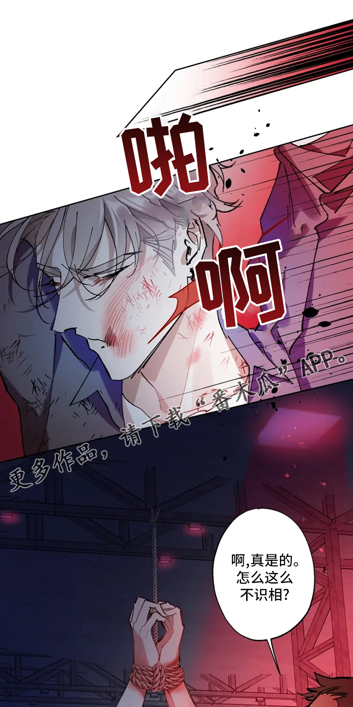 异常现象txt下载漫画,第26章：黑社会1图